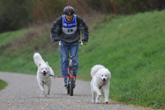 Rennen Weinfelden